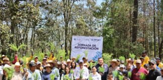 Suman casi 200 mil árboles en reforestación para el Estado: Secretaría de Desarrollo Agropecuario
