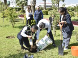 Obtiene UNAQ certificado como Ecoescuela por su compromiso ambiental
