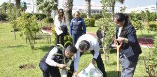 Obtiene UNAQ certificado como Ecoescuela por su compromiso ambiental