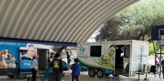 La Secretaría de Salud Realiza Jornada de Esterilización Canina y Felina