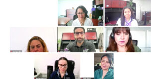 Proponen incentivo a funcionaria del Instituto Electoral del Estado de Querétaro adscrita al Servicio Profesional
