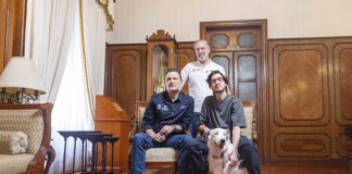 Querétaro a la vanguardia en el cuidado de las y los animales