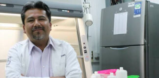 Detecta UAQ que niñez del área metropolitana supera ingesta de sal