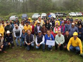 La Secretaría de Desarrollo Agropecuario destina 55 mil árboles para Pinal de Amoles