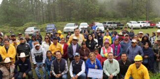 La Secretaría de Desarrollo Agropecuario destina 55 mil árboles para Pinal de Amoles