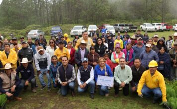 La Secretaría de Desarrollo Agropecuario destina 55 mil árboles para Pinal de Amoles