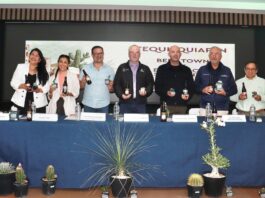 Anuncian en Tequisquiapan el Beer Town Fest y la Cuarta Expo Cactus y Suculentas 2025