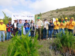 Huimilpan fortalece su compromiso ambiental con la reforestación del Cerro de la Cruz