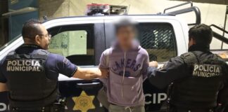 Detenido por allanamiento de domicilio y daños dolosos en la colonia Real de España