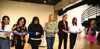 Exponen piezas de Creajolote en el Gómez Morin