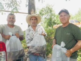 El Secretario de Desarrollo Agropecuario Entrega alevines para repoblar cuerpos de agua en la sierra