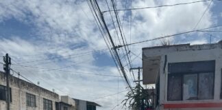 La Secretaría de Salud intensifica actividades de prevención y control del dengue a Carrillo Puerto