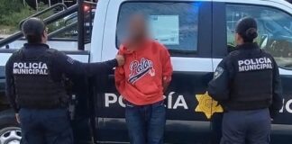 Detenido por daños y robo a vehículo