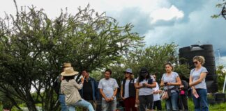Secretaría Medio del Ambiente y Recursos Naturales reconoce las buenas prácticas sustentables de la Universidad Politécnica de Santa Rosa Jáuregui