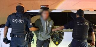 Detenido por posesión de arma ilícita en el Salitre
