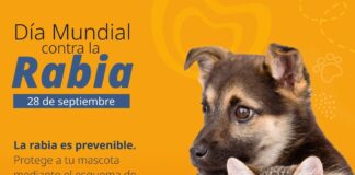 La Secretaría de Salud se adhiere a la conmemoración del Día Mundial contra la Rabia