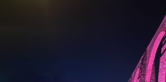 Reporte del operativo de alcoholimetría