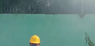 La Secretaría de Salud realiza vigilancia epidemiológica del dengue