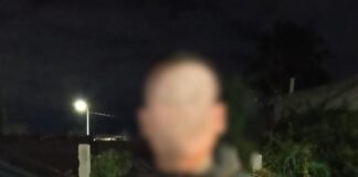 Detenido por delitos contra la seguridad pública