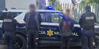 Detenidos por delitos contra la seguridad pública