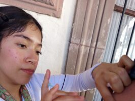 Llama Secretaría de Salud a la población a vacunarse contra influenza