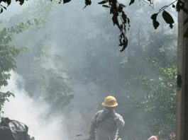 La Secretaría de Salud impulsa acciones preventivas contra el dengue