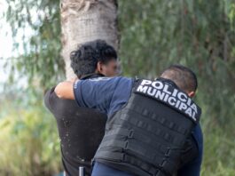 La Secretaría de Seguridad Pública Municipal presentó 89 detenidos ante la Fiscalía General del Estado de Querétaro  durante la última semana