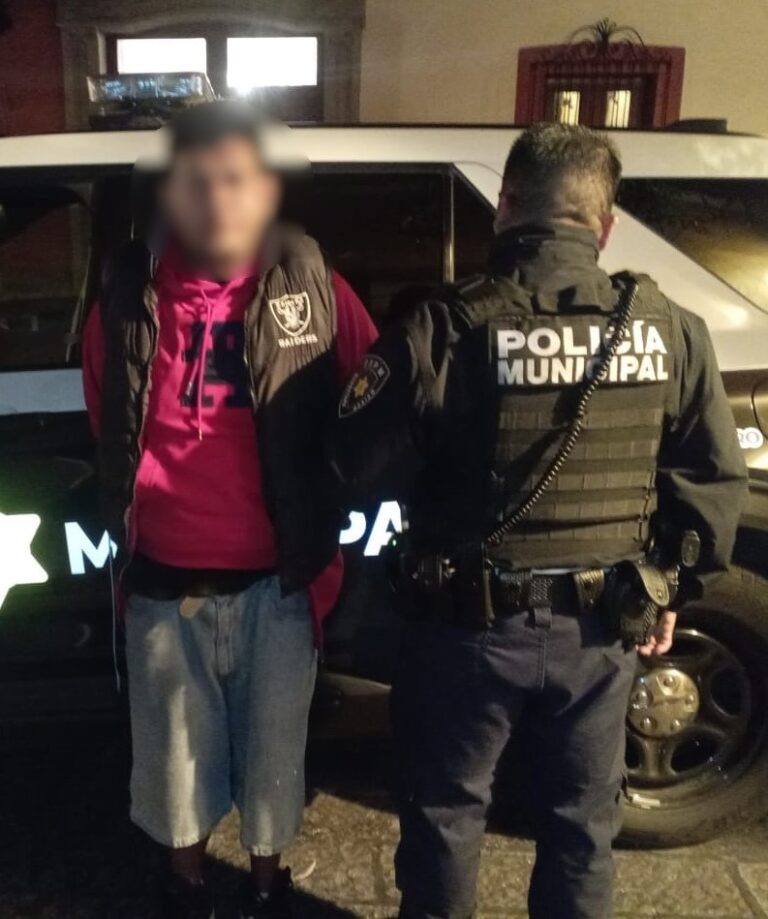 Detenido por delitos contra la seguridad pública
