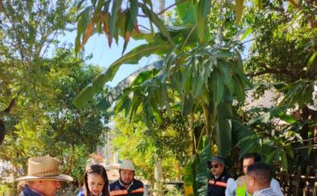 La Comisión Estatal de Infraestructura supervisa ciclovía en Jalpan de Serra