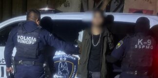 Detenido por delitos contra la seguridad pública