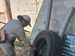 La Secretaría de Salud mantiene estrategias permanentes de monitoreo contra el Dengue
