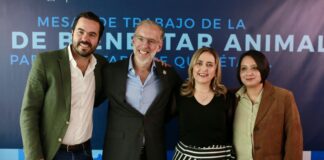 Participa Marco Del Prete en mesa de trabajo de la Ley de Bienestar Animal