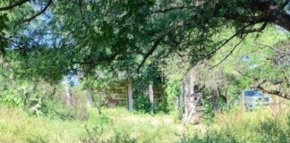 La participación ciudadana, fundamental para prevenir el dengue y eliminar criaderos