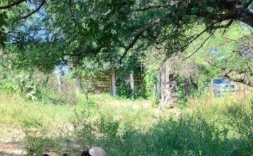 La participación ciudadana, fundamental para prevenir el dengue y eliminar criaderos