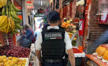 Listo el dispositivo Guadalupe-Reyes en la capital