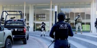 🚨 SINERGIA REALIZA CATEOS EN HIGH PARK POR PRESUNTO FRAUDE