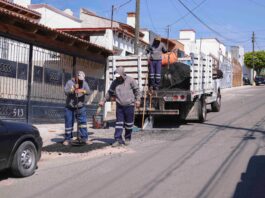 Brigada Antibaches de Corregidora atiendemás de mil 500 reportes