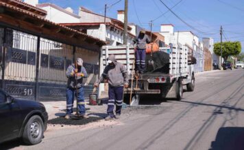 Brigada Antibaches de Corregidora atiendemás de mil 500 reportes