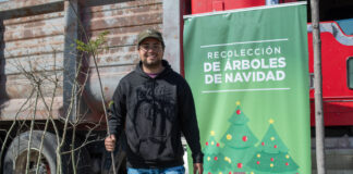 El Marqués arrancará campaña de recolección de Árboles de Navidad 2026
