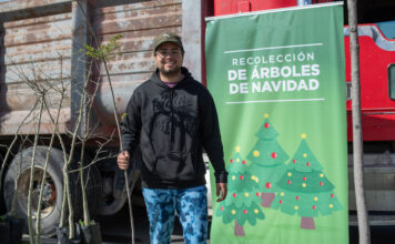 El Marqués arrancará campaña de recolección de Árboles de Navidad 2026