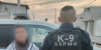 Detienen al «Mongol» por posesión delitos contra la seguridad pública y contra la salud