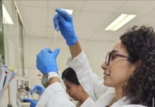 Presenta UAQ estudio para mejorar salud digestiva de lechones y fortalecer producción porcina