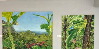 Museo Comunitario de Pinal de Amoles abre sus puertas al artista neerlandés Jasper de Gelder