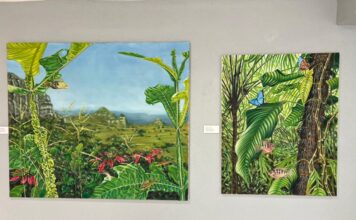 Museo Comunitario de Pinal de Amoles abre sus puertas al artista neerlandés Jasper de Gelder