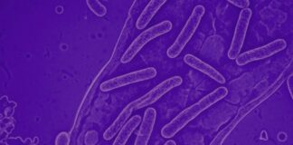 Se suma Secretaría de Salud a la conmemoración del Día Mundial contra la Lepra