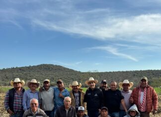 El Marqués fortalece el campo con obras de nivelación de parcelas y caminos ejidales