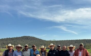 El Marqués fortalece el campo con obras de nivelación de parcelas y caminos ejidales