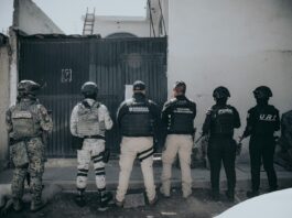 Sinergia ejecuta siete cateos simultáneos en El Marqués y logra detenciones por delitos contra la salud