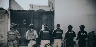 Sinergia ejecuta siete cateos simultáneos en El Marqués y logra detenciones por delitos contra la salud