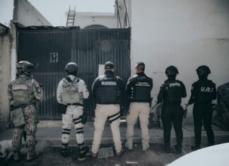 Sinergia ejecuta siete cateos simultáneos en El Marqués y logra detenciones por delitos contra la salud